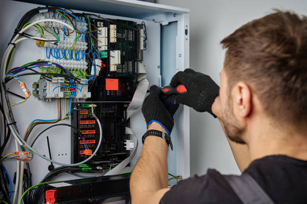 Licensed Electrical Panel Upgrade service in Wyoming, DE - No Joke electrician